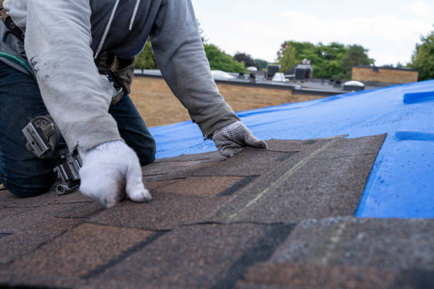 Best Roof Restoration Services  in Hiawatha, KS