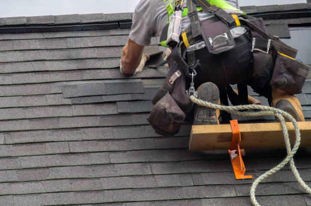 Roof Gutter Cleaning in Hiawatha, KS