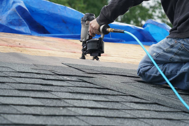 Best Roof Gutter Cleaning  in Hiawatha, KS