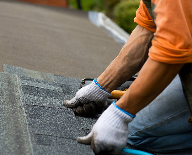Best Flat Roof Repair Services  in Hiawatha, KS